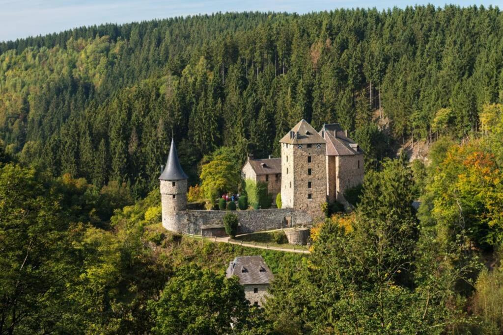 Le Grand Cerf 25 Pers, Malmedy- Chalet Rustique, Jardin 외부 사진